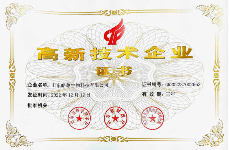 高薪技術企業證書